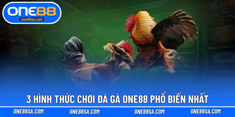 Đá Gà ONE88 – Cá Cược Kịch Tính Với Tỷ Lệ Thưởng Cao - DITOXE