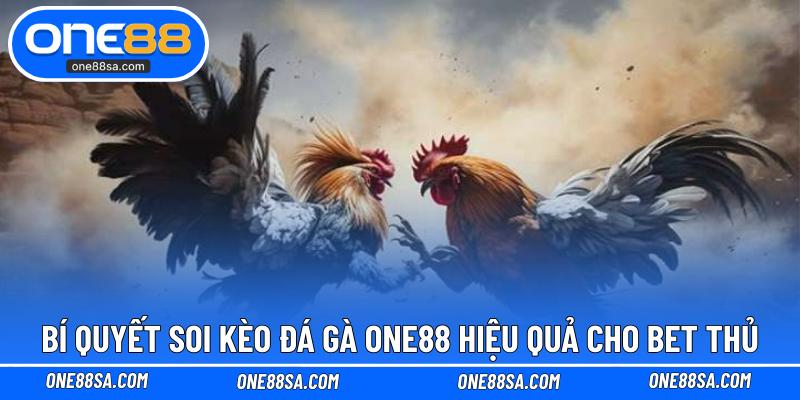 Đá Gà ONE88 – Cá Cược Kịch Tính Với Tỷ Lệ Thưởng Cao - DITOXE