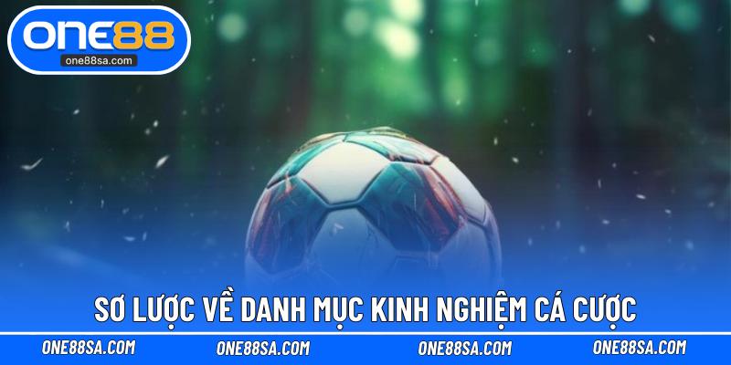Kinh Nghiệm Cá Cược – Cơ Hội Chiến Thắng Cho Bet Thủ - DITOXE