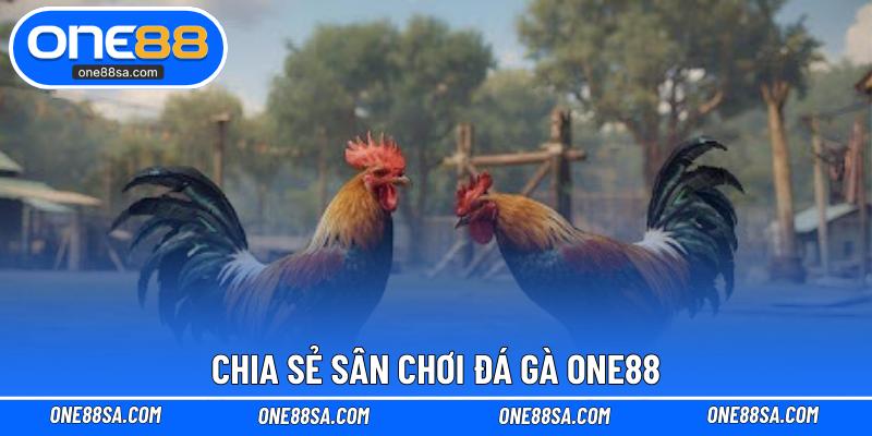 Đá Gà ONE88 – Cá Cược Kịch Tính Với Tỷ Lệ Thưởng Cao - DITOXE