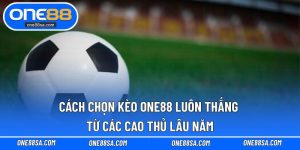 Kinh Nghiệm Cá Cược – Cơ Hội Chiến Thắng Cho Bet Thủ - DITOXE