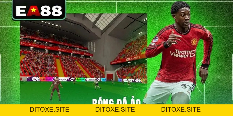 Kèo Thẻ Phạt Là Gì? Mẹo Dự Đoán Cực Chuẩn Từ Chuyên Gia - DITOXE