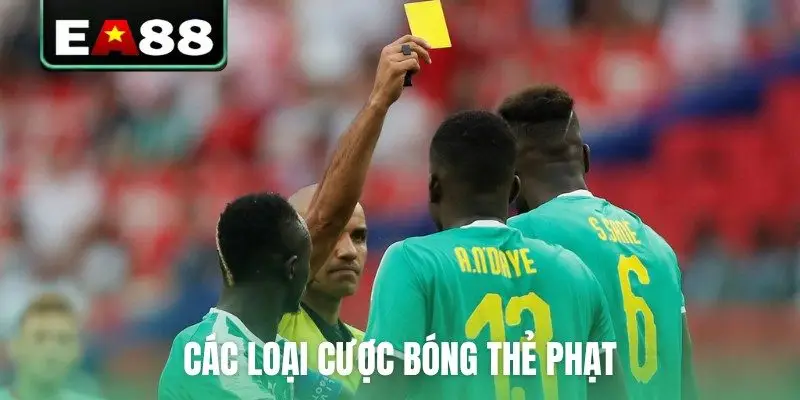 Kèo Thẻ Phạt Là Gì? Mẹo Dự Đoán Cực Chuẩn Từ Chuyên Gia - DITOXE