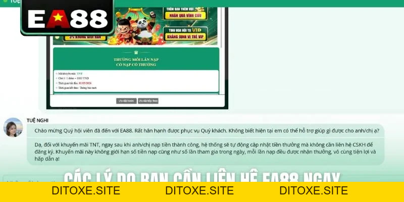 Hướng Dẫn Liên Hệ EA88 An Toàn - Hỗ Trợ Hội Viên 24/7 - DITOXE