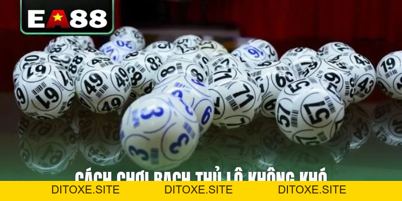 Bật Mí Cách Chơi Bạch Thủ Lô Bách Phát Bách Trúng Ít Ai Biết - DITOXE