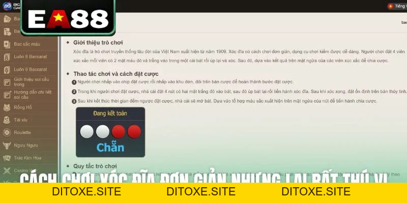 Cách Chơi Xóc Đĩa Ăn Tiền Thật Cực Dễ Dàng Tại EA88 - DITOXE
