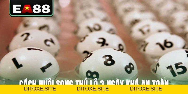 Cách Nuôi Song Thủ Lô 3 Ngày Bất Bại Từ Cao Thủ Chốt Số - DITOXE