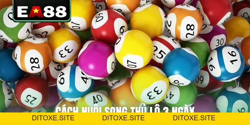 Xổ Số EA88 - Sảnh Cược Lô Đề Trực Tuyến Thưởng Hậu Hĩnh - DITOXE