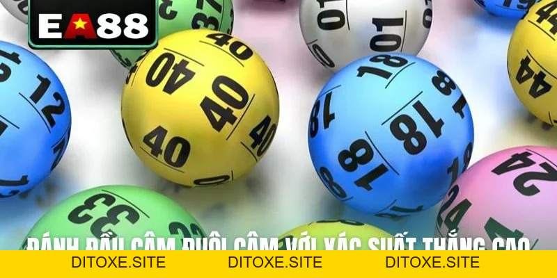 Bật Mí Cách Chơi Bạch Thủ Lô Bách Phát Bách Trúng Ít Ai Biết - DITOXE