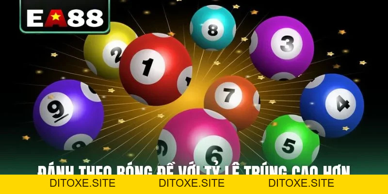Cách Nuôi Song Thủ Lô 3 Ngày Bất Bại Từ Cao Thủ Chốt Số - DITOXE