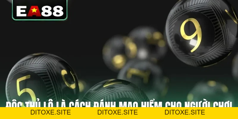 Bật Mí Cách Chơi Bạch Thủ Lô Bách Phát Bách Trúng Ít Ai Biết - DITOXE