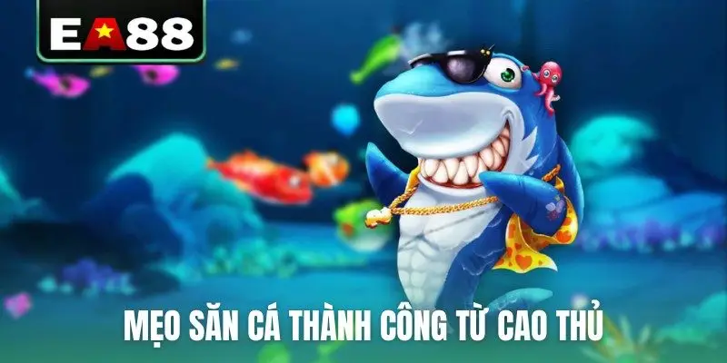 3+ Game Bắn Cá Thẻ Cào Hot Nhất - Tham Gia Nhận Jackpot - DITOXE