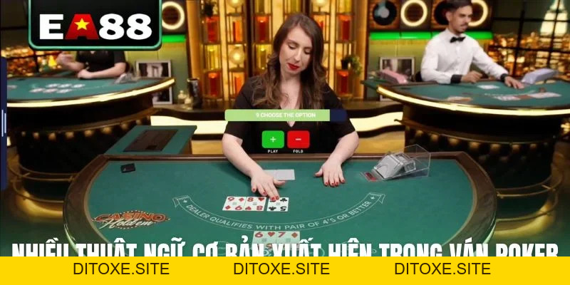 Cách Chơi Poker Chuẩn Quốc Tế Dành Cho Tân Thủ Dễ Hiểu - DITOXE