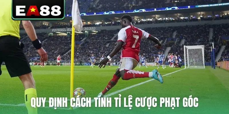 Kèo Phạt Góc Đọc Thế Nào Và Quy Định Về Thời Gian Hợp Lệ - DITOXE