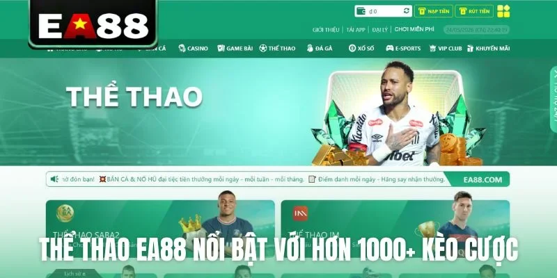Thể Thao EA88: Sân Chơi Cá Độ Đẳng Cấp Và Chuyên Nghiệp - DITOXE