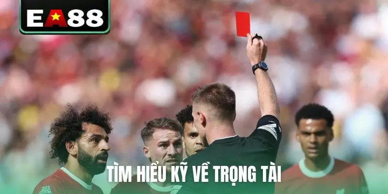 Kèo Thẻ Phạt Là Gì? Mẹo Dự Đoán Cực Chuẩn Từ Chuyên Gia - DITOXE