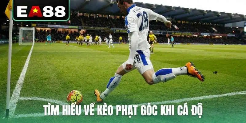 Kèo Phạt Góc Đọc Thế Nào Và Quy Định Về Thời Gian Hợp Lệ - DITOXE