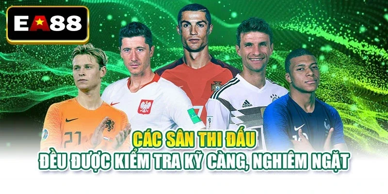 Địa Điểm Tổ Chức World Cup 2026 - Các Sân Vận Động Nổi Bật - DITOXE