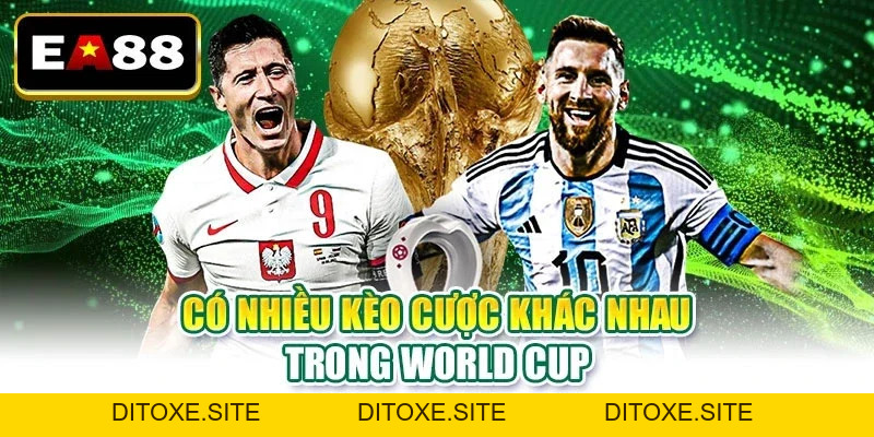 Tin Tức EA88 - Kênh Thông Tin Cá Cược Chính Thống Cho Bạn - DITOXE